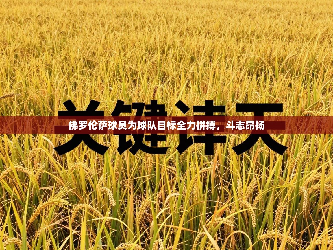 佛罗伦萨球员为球队目标全力拼搏，斗志昂扬  第2张