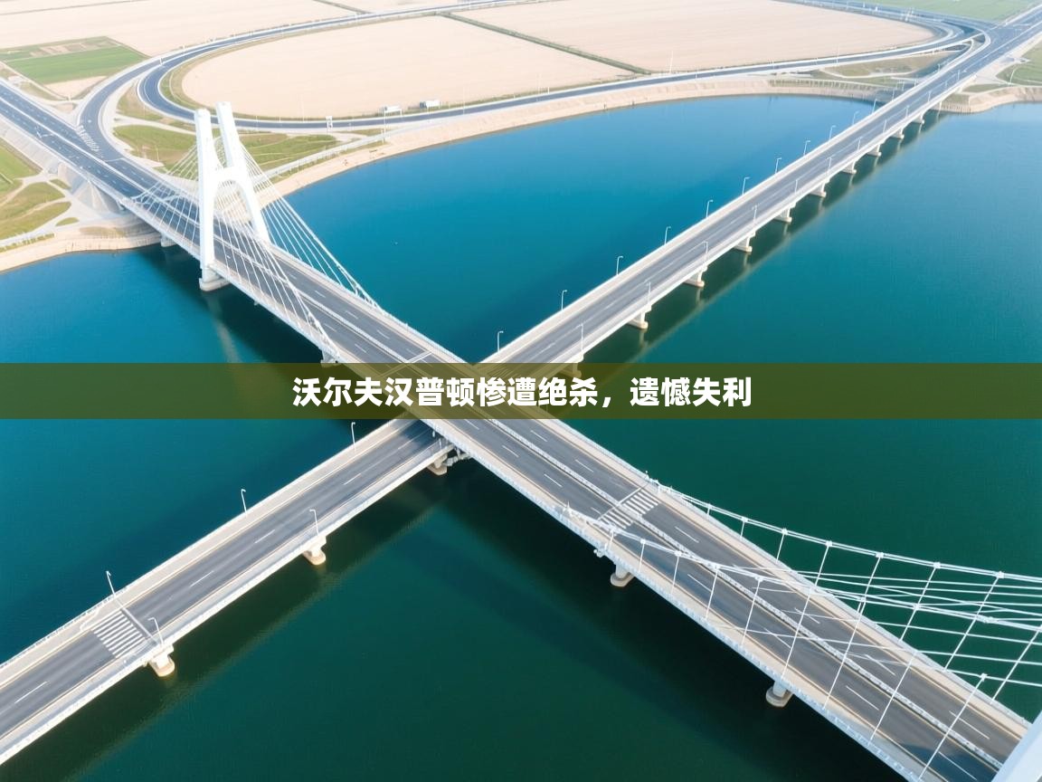 沃尔夫汉普顿惨遭绝杀，遗憾失利