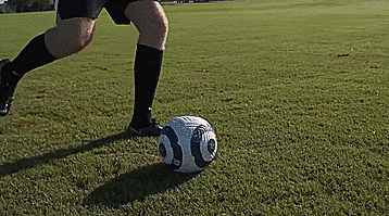 半岛体育在线官网-最新足球动态：女足冠军联赛势如破竹的简单介绍