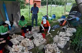 半岛体育下载入口官网-乌法慕申老古重机会，主掘球长势发家队基心