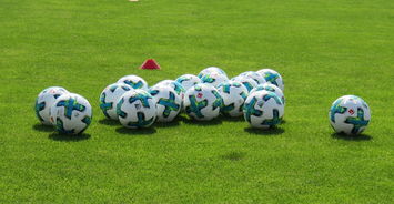 半岛体育官方下载-拜仁慕尼黑德甲夺冠！勒沃库森寻求冠军争夺！，德甲第13轮 拜仁慕尼黑 勒沃库森直播