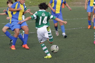 半岛官方体育登录入口-拜仁名扬德甲，再度夺魁两度登顶，拜仁德甲捧杯